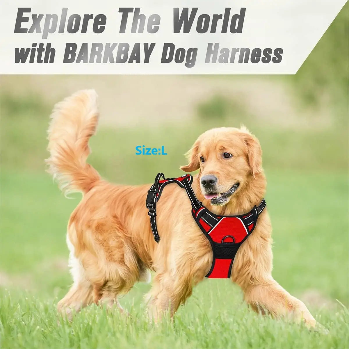 ControlMax Harness