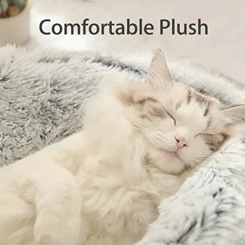 CozyPaw Nest