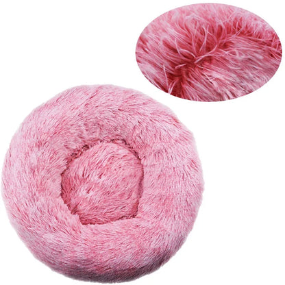 CloudNest Bed
