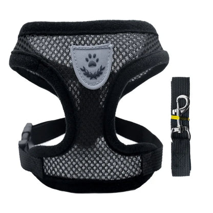 ComfortFit Harness