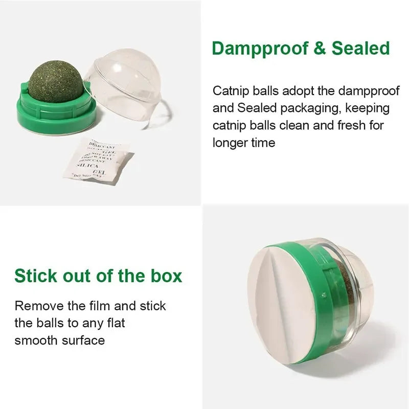 CatnipLick Ball