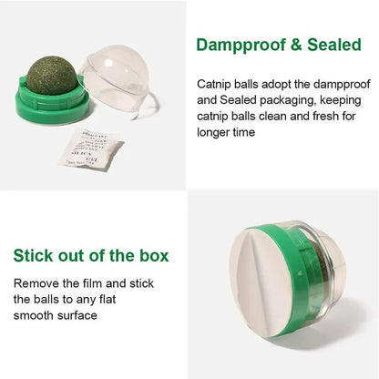 CatnipLick Ball