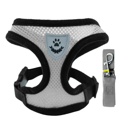 ComfortFit Harness