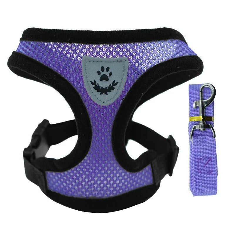 ComfortFit Harness
