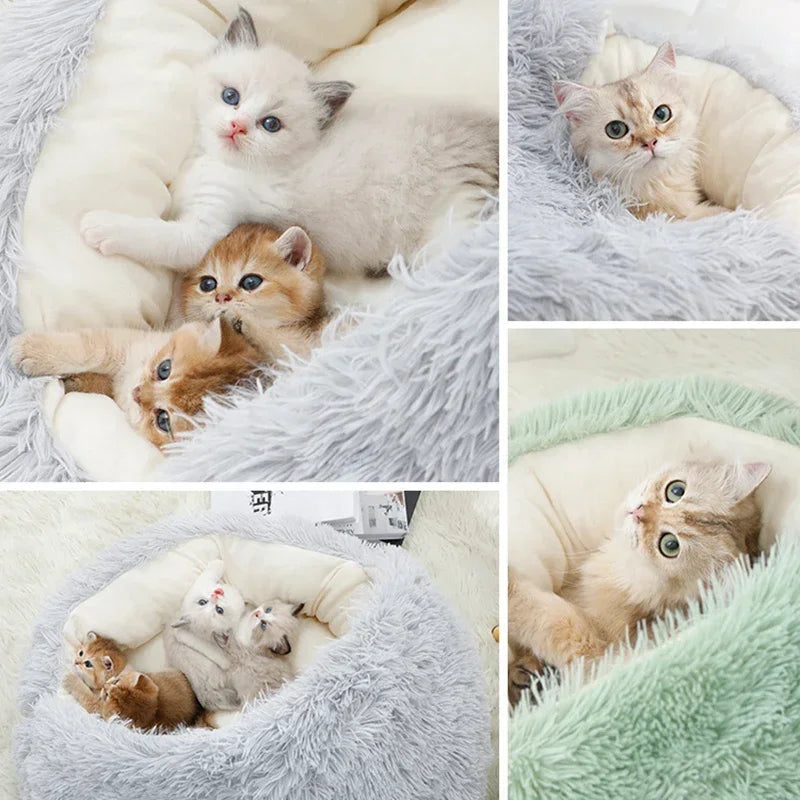 CozyPaw Nest