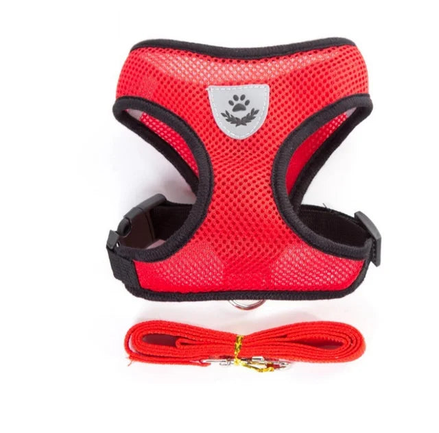 AirFlex Harness