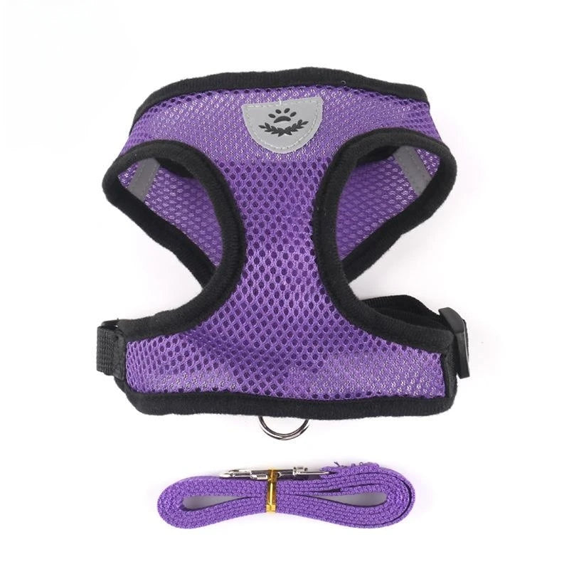 AirFlex Harness