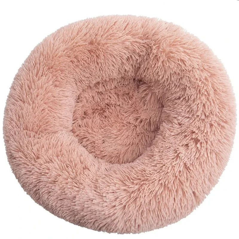 CloudNest Bed
