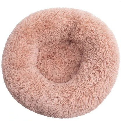 CloudNest Bed