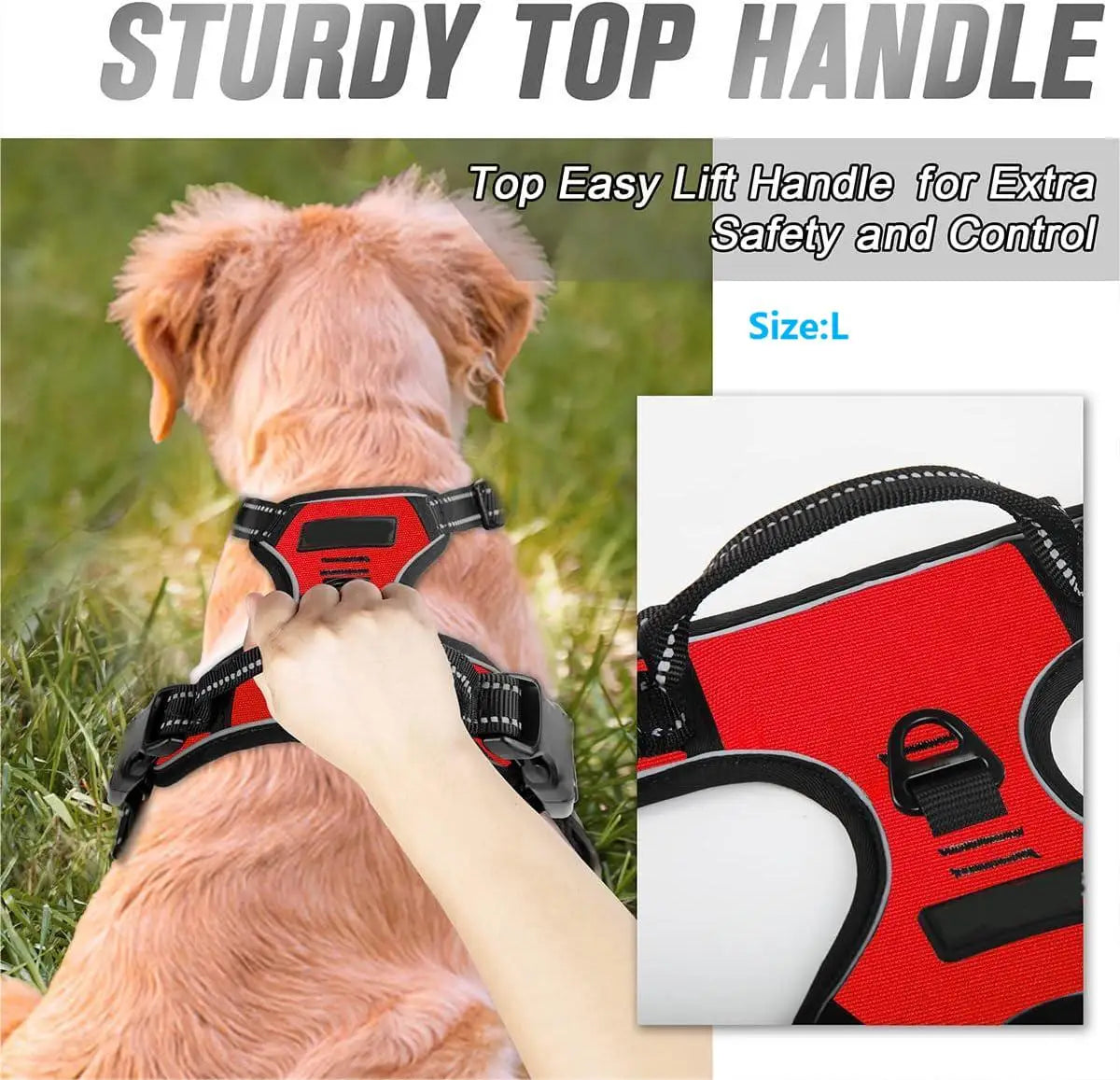 ControlMax Harness