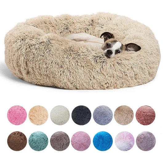 CloudNest Bed