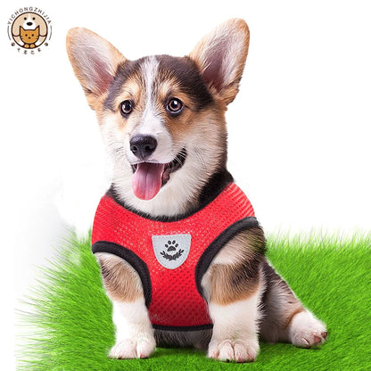 ComfortFit Harness