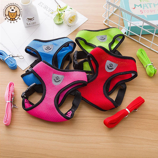 ComfortFit Harness