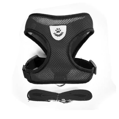 AirFlex Harness
