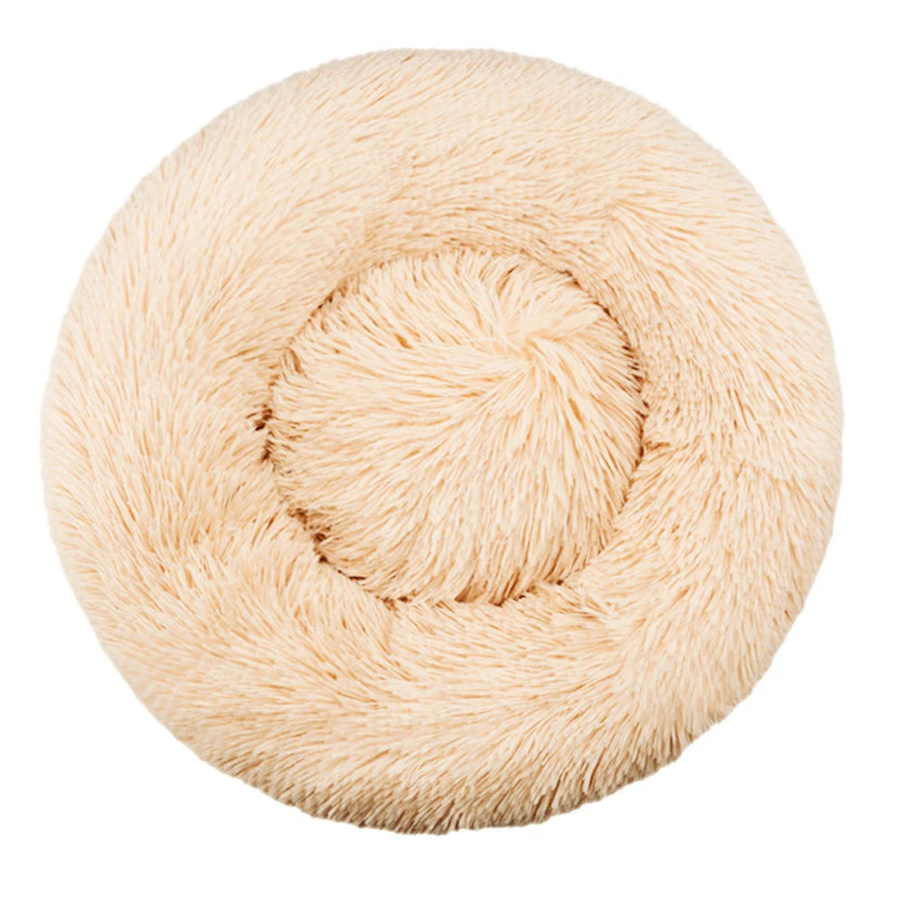 CloudNest Bed