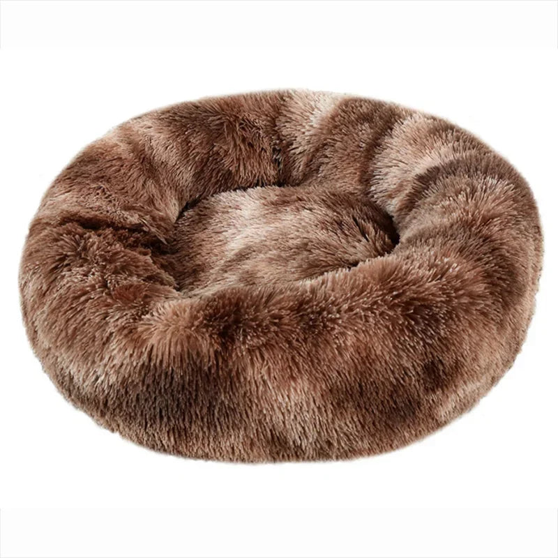 CloudNest Bed