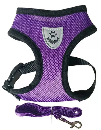 AirFlex Harness