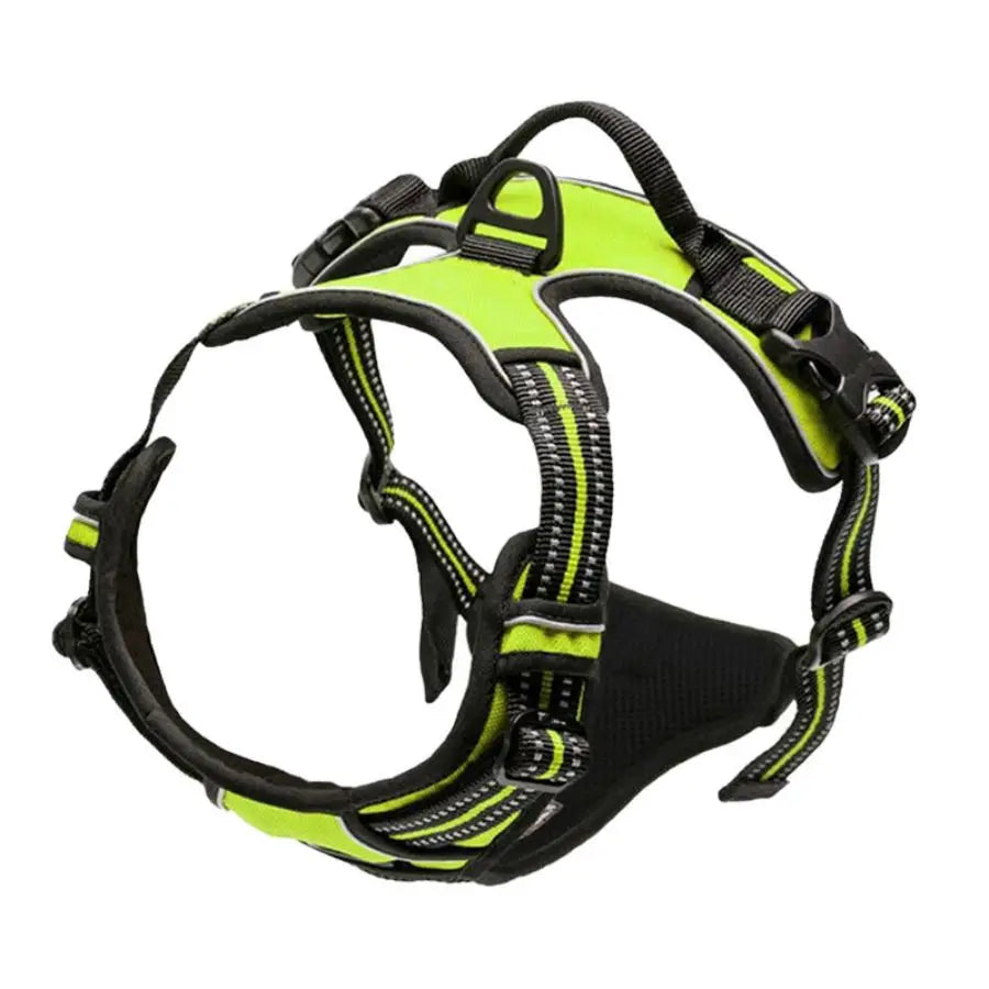 ControlMax Harness