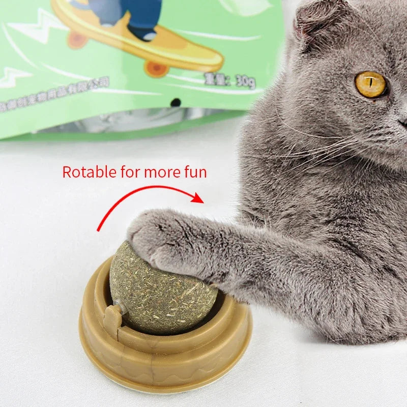 CatnipLick Ball