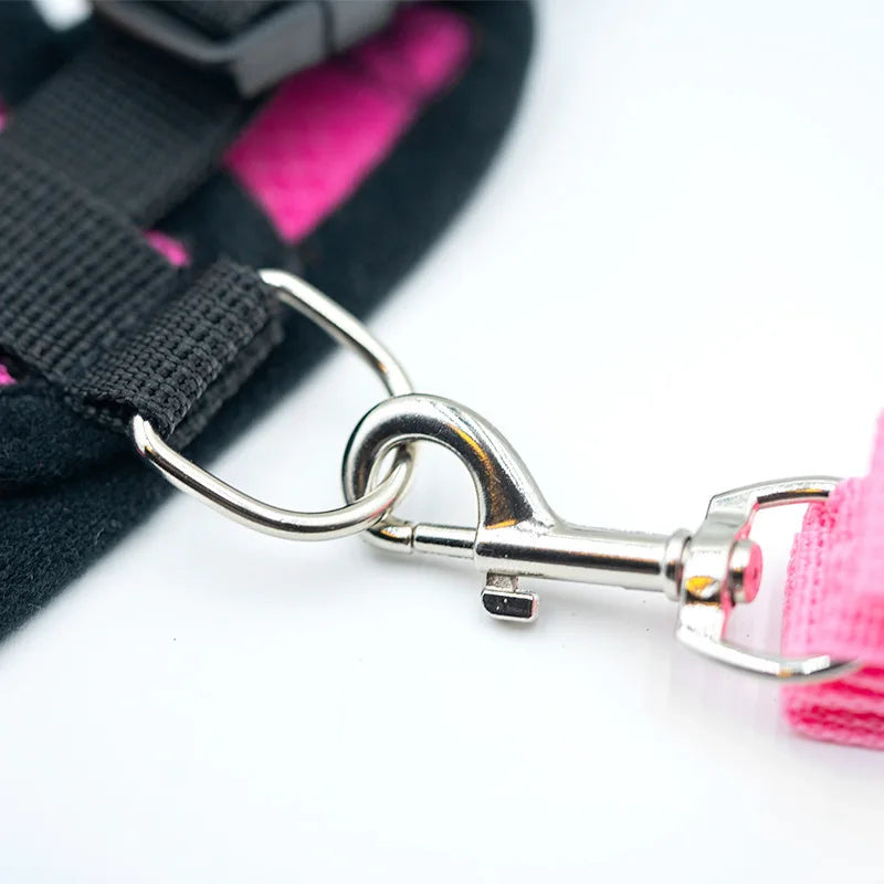ComfortFit Harness