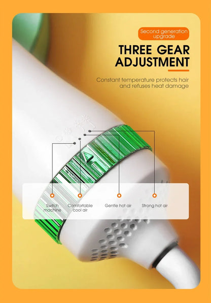 DryPaw™ 2-in-1 Pet Dryer