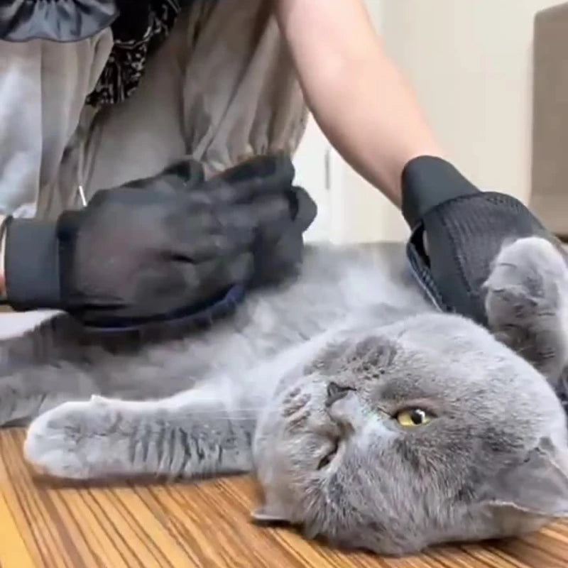 PawBrush™ Premium Grooming Glove