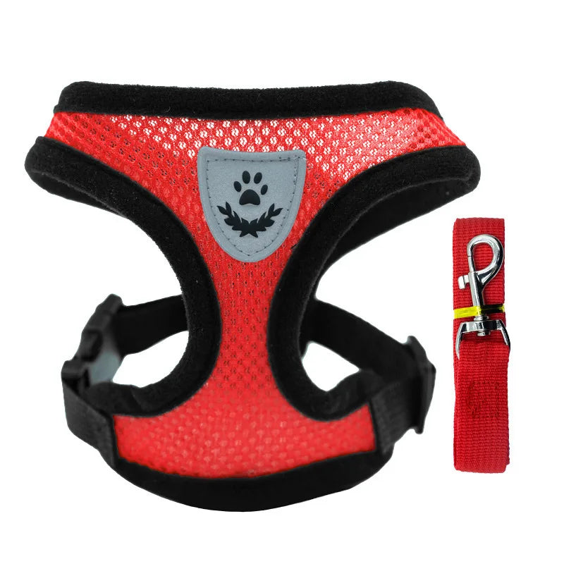 ComfortFit Harness